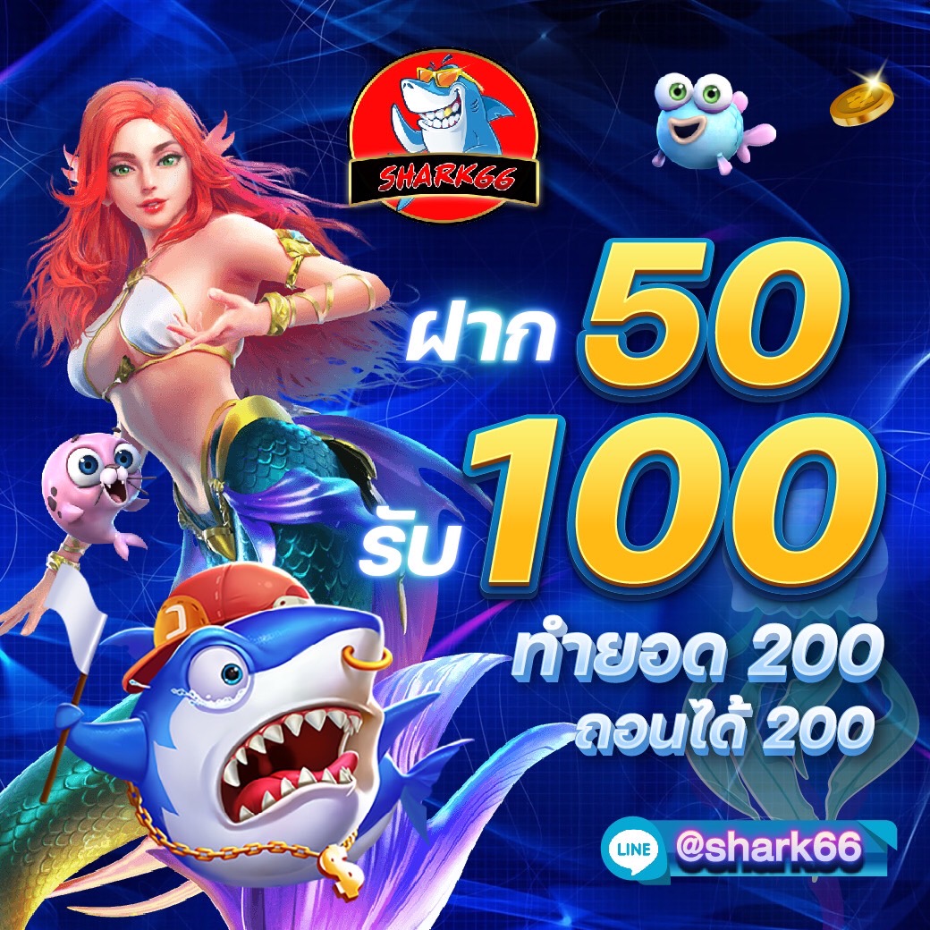 betflik8k เว็บตรงเดิมพันง่าย จ่ายคล่อง สะดวกในไทย