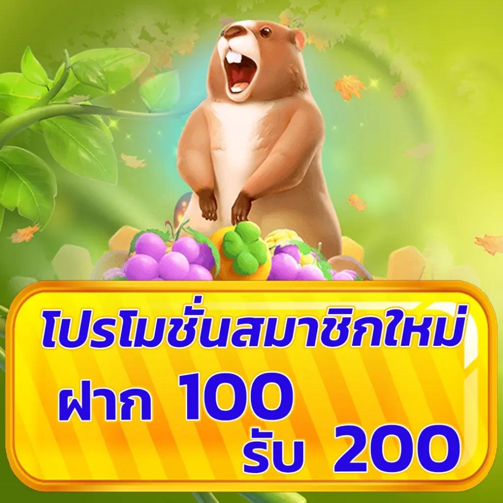 สมัครสล็อต 555 สล็อต ความสนุกสุดมันส์ พร้อมโบนัสสูงในประเทศไทย